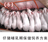 ���i�����ڱ���--135�����B(y��ng)�i���g(sh��)���÷���